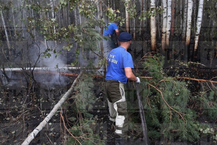 В Татарстане продлили штормовое предупреждение из-за высокой пожароопасности лесов