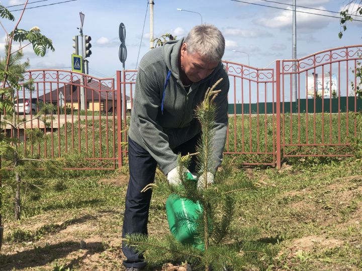 В Высокогорском районе возвели «Аллею памяти» в честь погибших на СВО