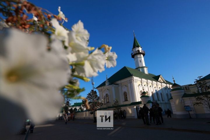 Обряды заклания на Курбан-байрам в Казани пройдут на 17 площадках