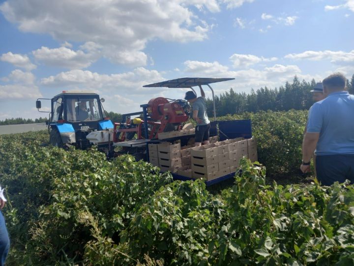 Равиль Хисамутдинов ознакомился с ходом уборочной кампании в Высокогорском районе