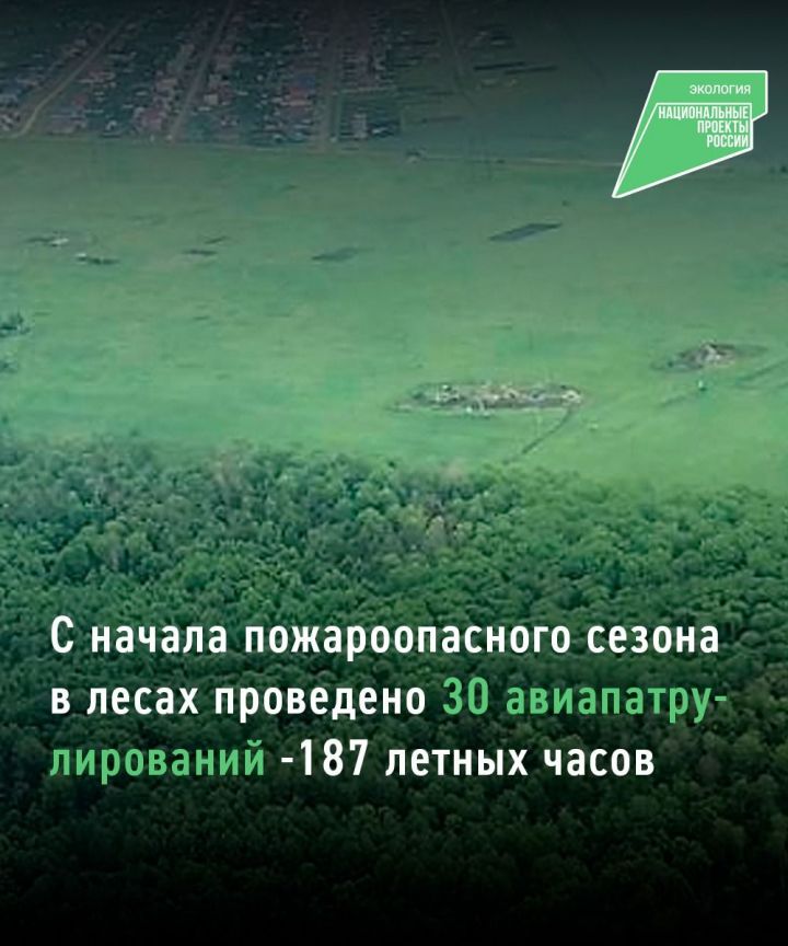 В Татарстане идет авиапатрулирование лесов