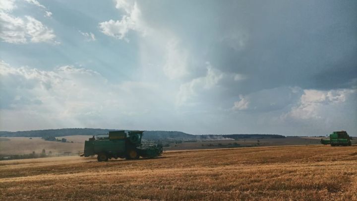 Новая зерновая сделка будет заключена при посредничестве Рустама Минниханова