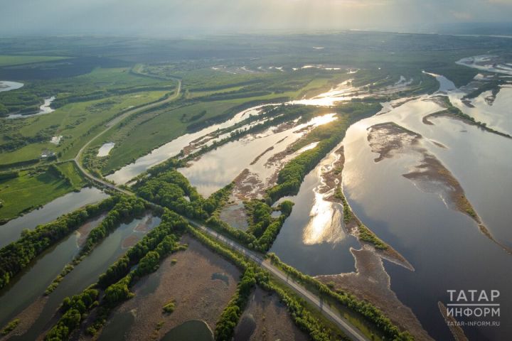«Чтобы Волга не превратилась в болото»: Татарстан построит вдоль берегов реки зеленый щит