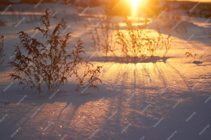 Сегодня будет спокойная зима