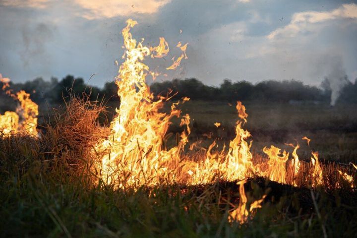В связи с жарой Минлесхоз РТ усилил противопожарные меры в лесах
