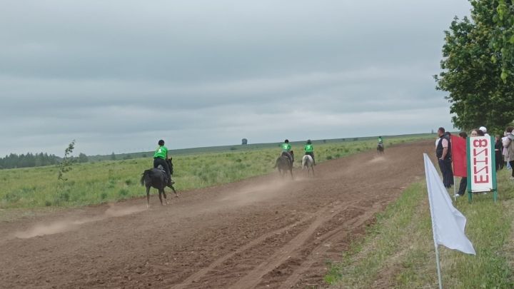 Начались конные скачки