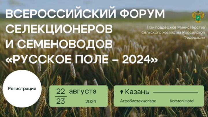 22-23 августа в Казани пройдет Всероссийский форум селекционеров и семеноводов «Русское поле – 2024»