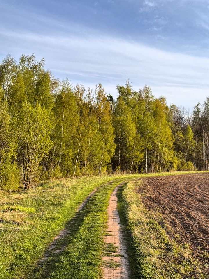 В Татарстане по нацпроекту создали почти 1,8 тыс. км новых противопожарных полос