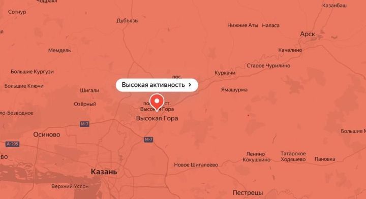 Ожидается пик цветения берёзы