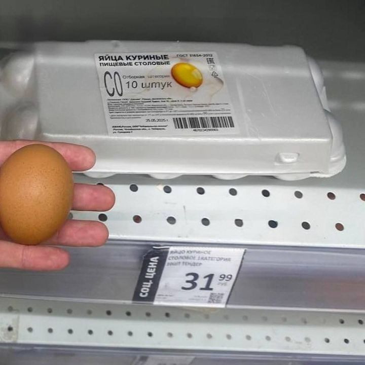 Цены на яйца в России достигли рекордного минимума
