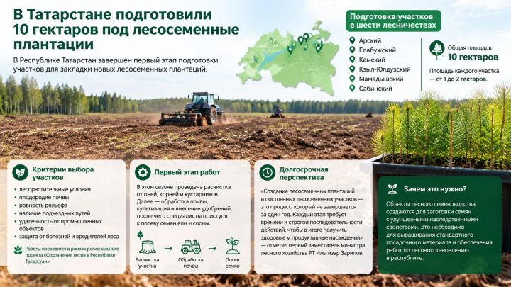 В Татарстане подготовили 10 гектаров под лесосеменные плантации