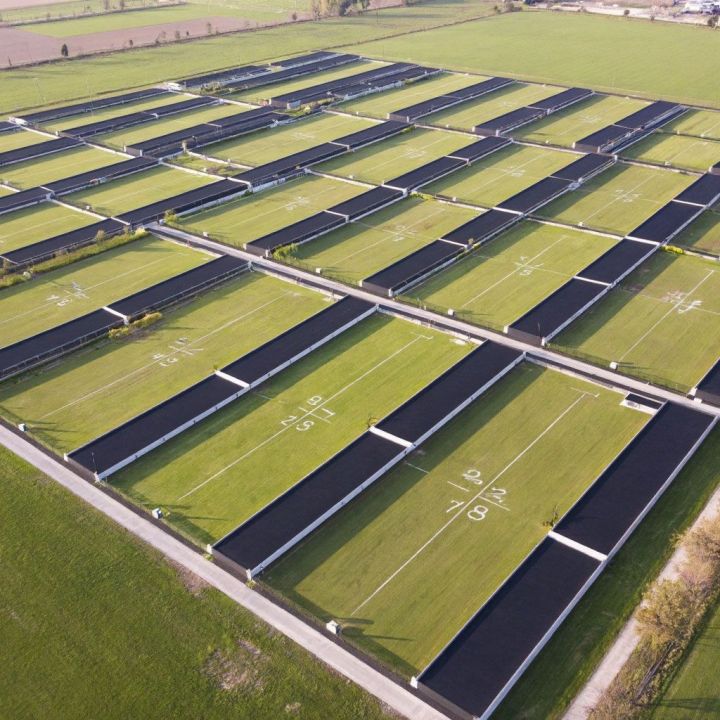 Росреестр опубликовал рейтинг за 2025 год