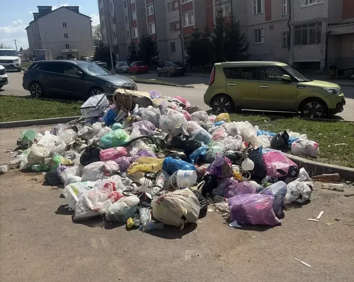 Итоги работы АТИ в ходе экологического двухмесячника