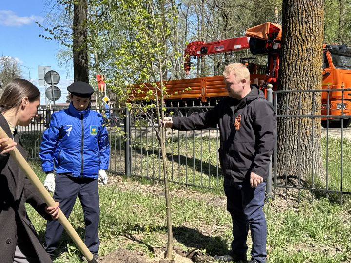 В Парке Победы высадили 15 лип ко Дню Победы