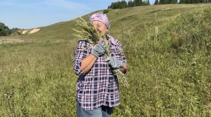 Полынь пахнет летом
