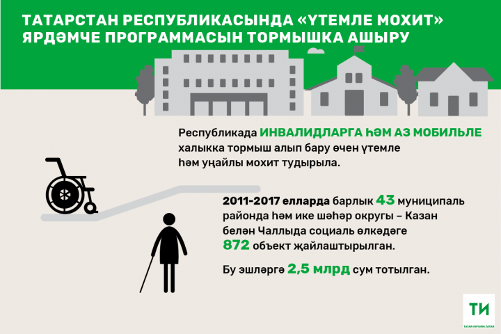 2018 елда Татарстан инвалидларга уңайлы мохит тудыруга якынча 27 миллион сум юнәлдергән